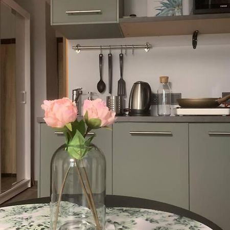 Apartment Near Ozas Аеропорт Вільнюс Екстер'єр фото
