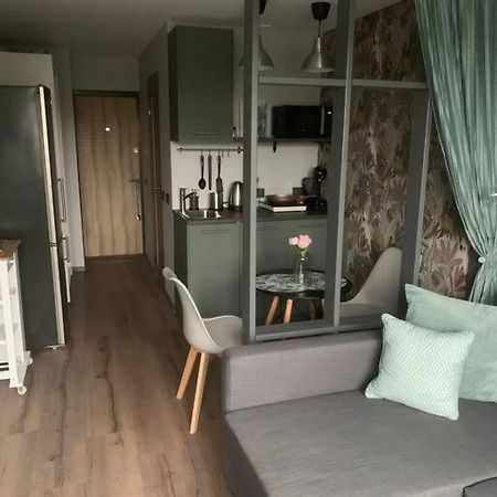 Apartment Near Ozas Аеропорт Вільнюс Екстер'єр фото