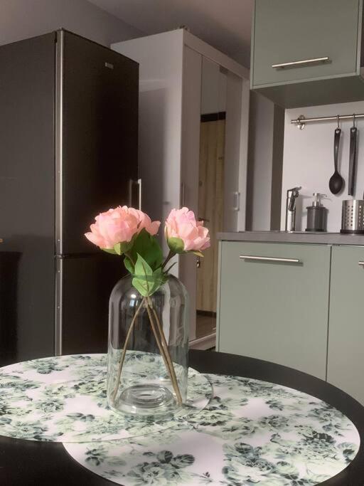 Apartment Near Ozas Аеропорт Вільнюс Екстер'єр фото