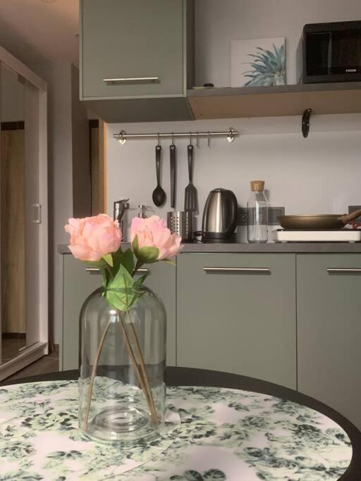 Apartment Near Ozas Аеропорт Вільнюс Екстер'єр фото