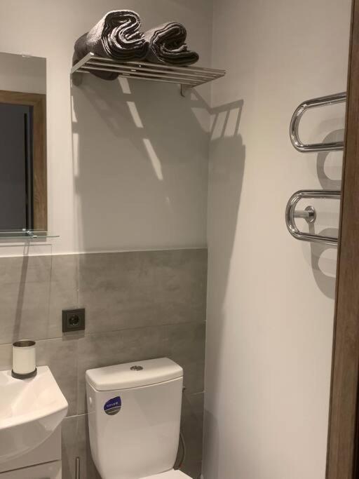 Apartment Near Ozas Аеропорт Вільнюс Екстер'єр фото