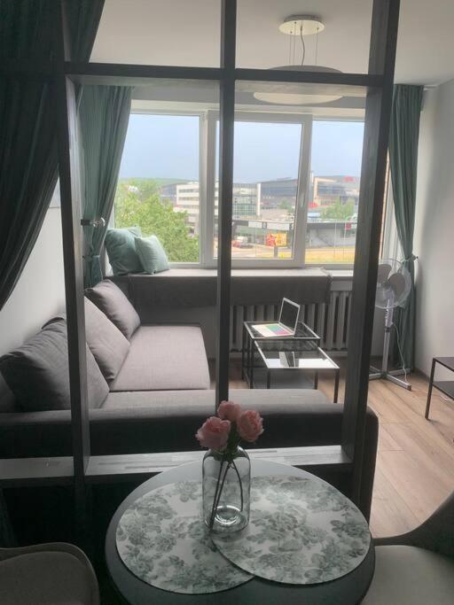 Apartment Near Ozas Аеропорт Вільнюс Екстер'єр фото
